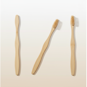 EG Bamboo Escova Adulto